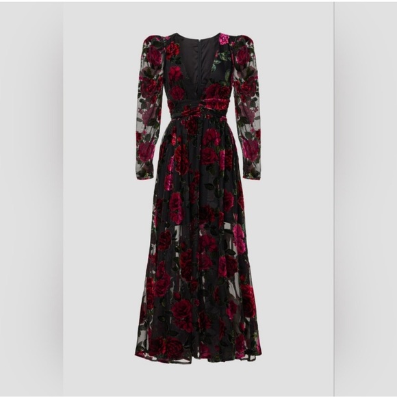 Rachel Parcell Burnout Velvet Dress size 4. - Picture 4 of 13